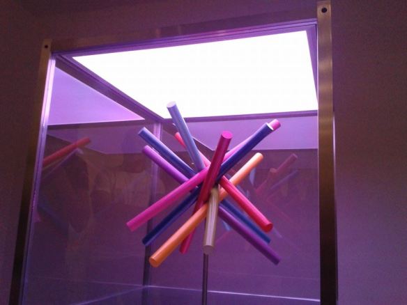 Fotografía de Paula Peña en la Bienal Arturo Michelena del 2014