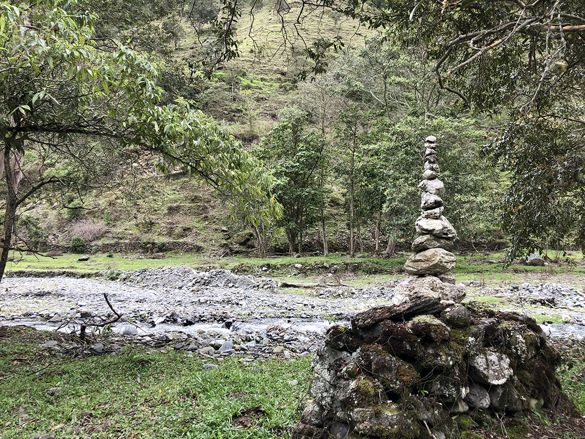 Intervención 1.2.JPG