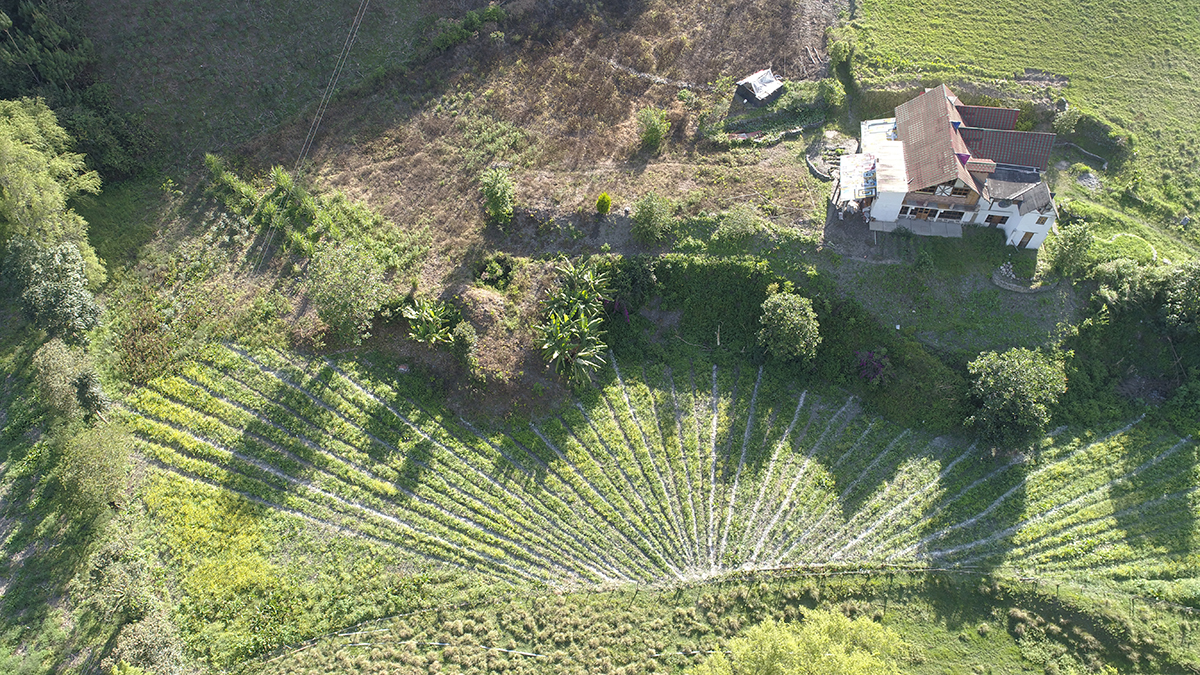 Intervención 3.1.JPG