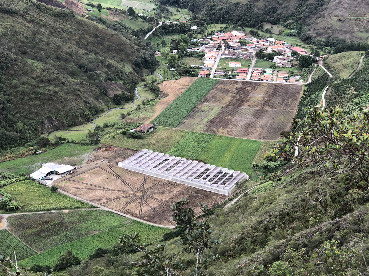 Intervención 4.2.JPG